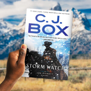 Storm Watch — Author Box, 47% OFF